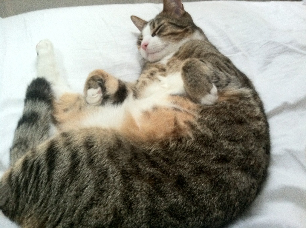 丁俊晖回应球迷支持称自己不曾孤单,丁俊晖局面专访